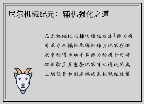 尼尔机械纪元：辅机强化之道